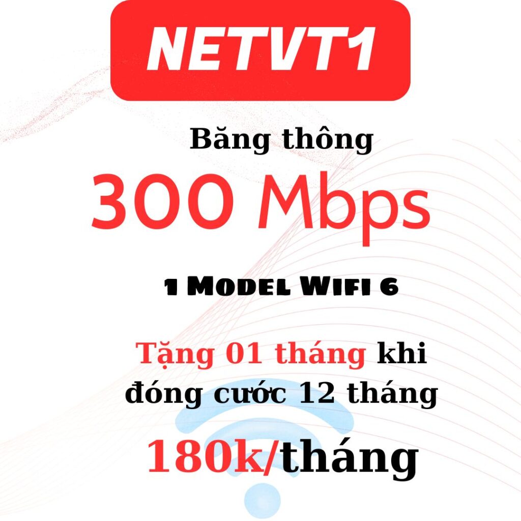 Gói mạng Viettel Netvt1